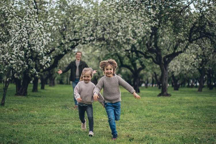 Pediatric chiropractic treatment what to expect at child chiro appt | Thompson Chiropractic & Wellness Dothan AL
